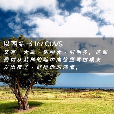 Picture 02 - 以 西 结 书 17:7 CUVS - 又 有 一 大 鹰 ， 翅 膀 大 ， 羽 毛 - Bible Verse Picture