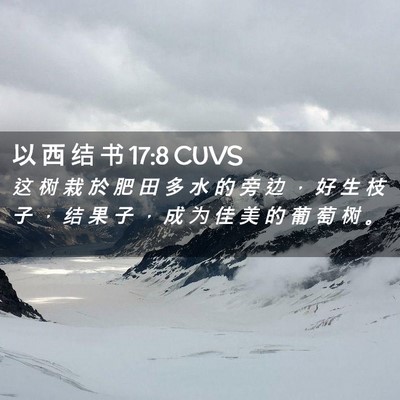 Picture 02 - 以 西 结 书 17:8 CUVS - 这 树 栽 於 肥 田 多 水 的 旁 边 ， - Bible Verse Picture