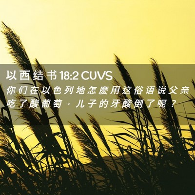 Picture 02 - 以 西 结 书 18:2 CUVS - 你 们 在 以 色 列 地 怎 麽 用 这 俗 - Bible Verse Picture