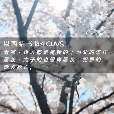 Picture 02 - 以 西 结 书 18:4 CUVS - 看 哪 ， 世 人 都 是 属 我 的 ； 为 - Bible Verse Picture
