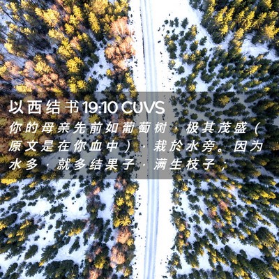Picture 02 - 以 西 结 书 19:10 CUVS - 你 的 母 亲 先 前 如 葡 萄 树 ， 极 - Bible Verse Picture