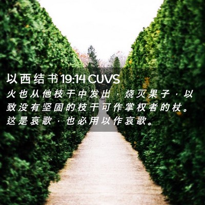 Picture 02 - 以 西 结 书 19:14 CUVS - 火 也 从 他 枝 干 中 发 出 ， 烧 灭 - Bible Verse Picture