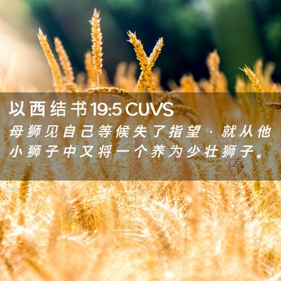 Picture 02 - 以 西 结 书 19:5 CUVS - 母 狮 见 自 己 等 候 失 了 指 望 ， - Bible Verse Picture
