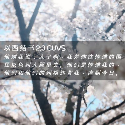 Picture 02 - 以 西 结 书 2:3 CUVS - 他 对 我 说 ： 人 子 啊 ， 我 差 你 - Bible Verse Picture