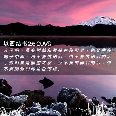 Picture 02 - 以 西 结 书 2:6 CUVS - 人 子 啊 ， 虽 有 荆 棘 和 蒺 藜 在 - Bible Verse Picture