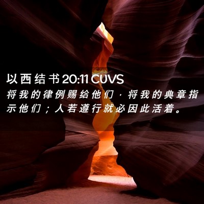 Picture 02 - 以 西 结 书 20:11 CUVS - 将 我 的 律 例 赐 给 他 们 ， 将 我 - Bible Verse Picture