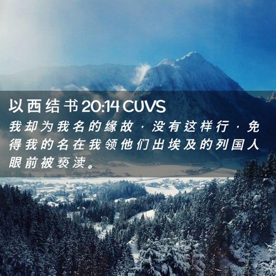 Picture 02 - 以 西 结 书 20:14 CUVS - 我 却 为 我 名 的 缘 故 ， 没 有 这 - Bible Verse Picture