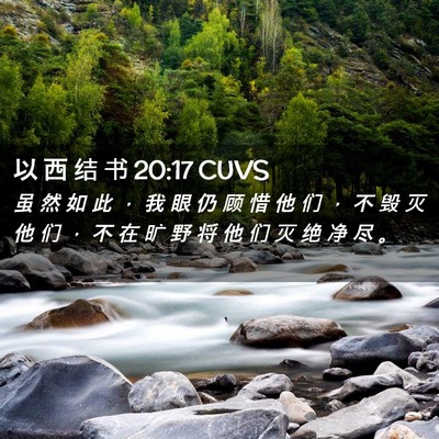 Picture 02 - 以 西 结 书 20:17 CUVS - 虽 然 如 此 ， 我 眼 仍 顾 惜 他 们 - Bible Verse Picture