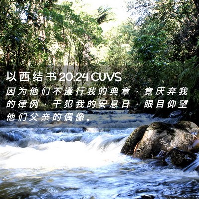 Picture 02 - 以 西 结 书 20:24 CUVS - 因 为 他 们 不 遵 行 我 的 典 章 ， - Bible Verse Picture