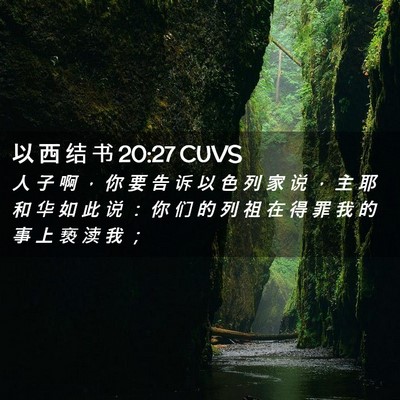 Picture 02 - 以 西 结 书 20:27 CUVS - 人 子 啊 ， 你 要 告 诉 以 色 列 家 - Bible Verse Picture