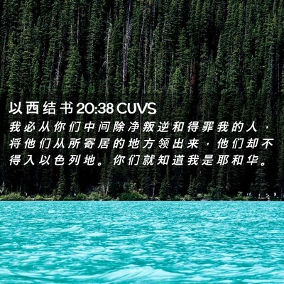 Picture 02 - 以 西 结 书 20:38 CUVS - 我 必 从 你 们 中 间 除 净 叛 逆 和 - Bible Verse Picture