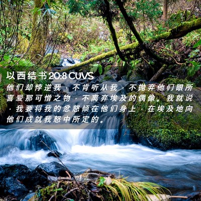 Picture 02 - 以 西 结 书 20:8 CUVS - 他 们 却 悖 逆 我 ， 不 肯 听 从 我 - Bible Verse Picture
