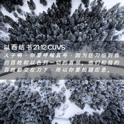 Picture 02 - 以 西 结 书 21:12 CUVS - 人 子 啊 ， 你 要 呼 喊 哀 号 ， 因 - Bible Verse Picture