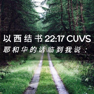 Picture 02 - 以 西 结 书 22:17 CUVS - 耶 和 华 的 话 临 到 我 说 - Bible Verse Picture