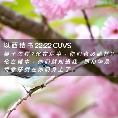 Picture 02 - 以 西 结 书 22:22 CUVS - 银 子 怎 样 ? 化 在 炉 中 ， 你 们 也 - Bible Verse Picture