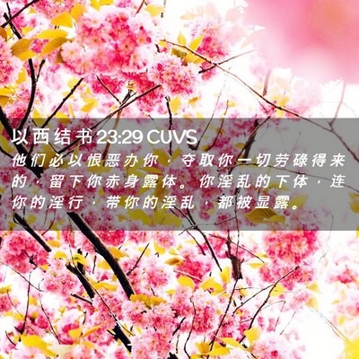 Picture 02 - 以 西 结 书 23:29 CUVS - 他 们 必 以 恨 恶 办 你 ， 夺 取 你 - Bible Verse Picture