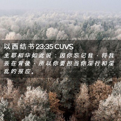 Picture 02 - 以 西 结 书 23:35 CUVS - 主 耶 和 华 如 此 说 ： 因 你 忘 记 - Bible Verse Picture