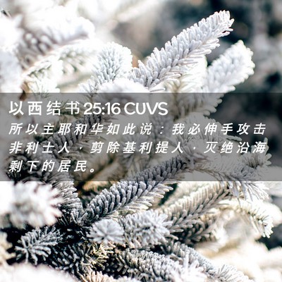 Picture 02 - 以 西 结 书 25:16 CUVS - 所 以 主 耶 和 华 如 此 说 ： 我 必 - Bible Verse Picture