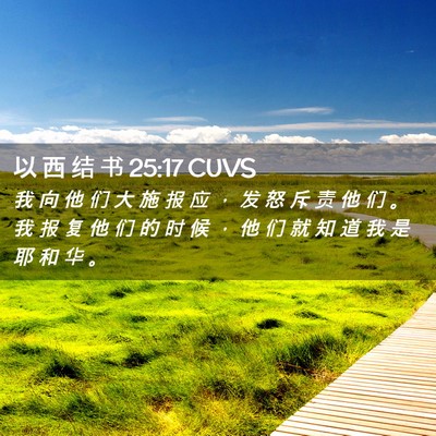 Picture 02 - 以 西 结 书 25:17 CUVS - 我 向 他 们 大 施 报 应 ， 发 怒 斥 - Bible Verse Picture