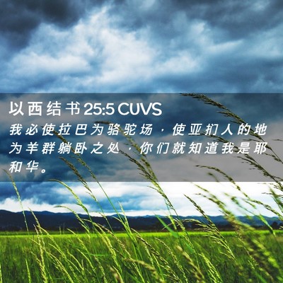 Picture 02 - 以 西 结 书 25:5 CUVS - 我 必 使 拉 巴 为 骆 驼 场 ， 使 亚 - Bible Verse Picture