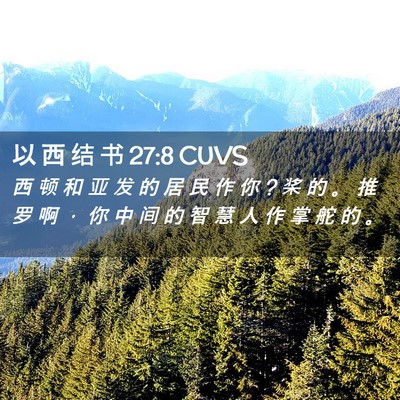 Picture 02 - 以 西 结 书 27:8 CUVS - 西 顿 和 亚 发 的 居 民 作 你 ? 桨 的 - Bible Verse Picture