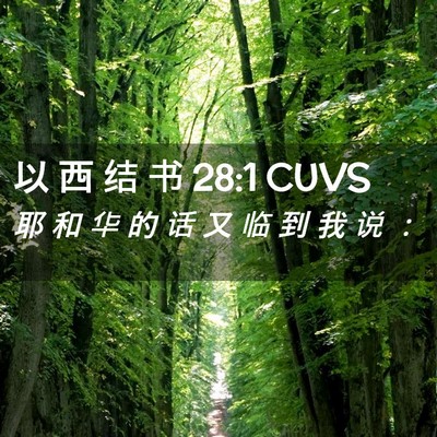 Picture 02 - 以 西 结 书 28:1 CUVS - 耶 和 华 的 话 又 临 到 我 说 - Bible Verse Picture