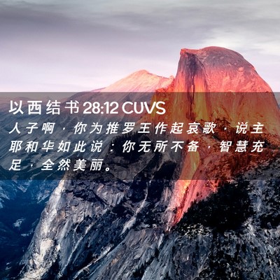 Picture 02 - 以 西 结 书 28:12 CUVS - 人 子 啊 ， 你 为 推 罗 王 作 起 哀 - Bible Verse Picture