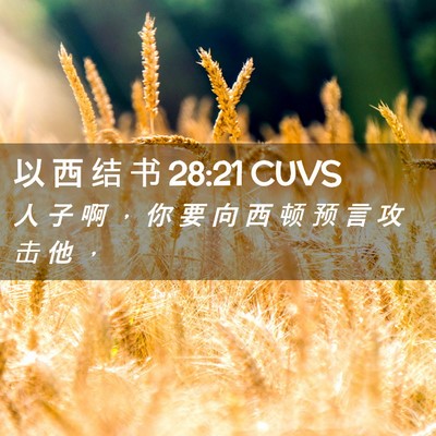 Picture 02 - 以 西 结 书 28:21 CUVS - 人 子 啊 ， 你 要 向 西 顿 预 言 攻 - Bible Verse Picture