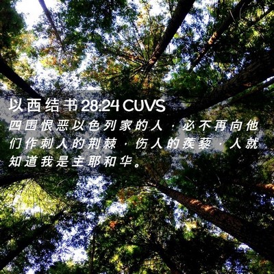 Picture 02 - 以 西 结 书 28:24 CUVS - 四 围 恨 恶 以 色 列 家 的 人 ， 必 - Bible Verse Picture