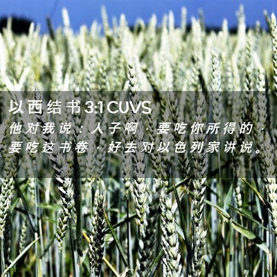 Picture 02 - 以 西 结 书 3:1 CUVS - 他 对 我 说 ： 人 子 啊 ， 要 吃 你 - Bible Verse Picture