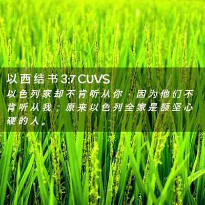 Picture 02 - 以 西 结 书 3:7 CUVS - 以 色 列 家 却 不 肯 听 从 你 ， 因 - Bible Verse Picture