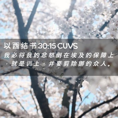 Picture 02 - 以 西 结 书 30:15 CUVS - 我 必 将 我 的 忿 怒 倒 在 埃 及 的 - Bible Verse Picture