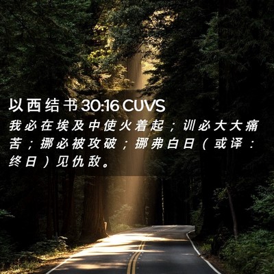 Picture 02 - 以 西 结 书 30:16 CUVS - 我 必 在 埃 及 中 使 火 着 起 ； 训 - Bible Verse Picture