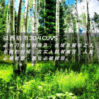 Picture 02 - 以 西 结 书 30:4 CUVS - 必 有 刀 剑 临 到 埃 及 ； 在 埃 及 - Bible Verse Picture