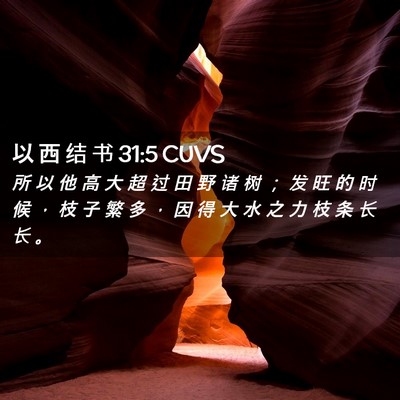 Picture 02 - 以 西 结 书 31:5 CUVS - 所 以 他 高 大 超 过 田 野 诸 树 ； - Bible Verse Picture
