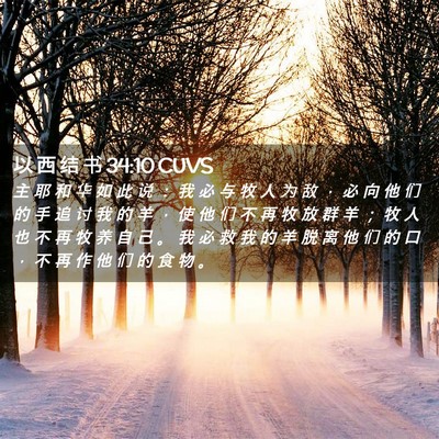 Picture 02 - 以 西 结 书 34:10 CUVS - 主 耶 和 华 如 此 说 ： 我 必 与 牧 - Bible Verse Picture