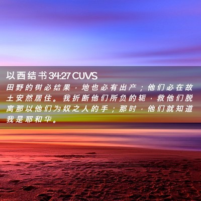 Picture 02 - 以 西 结 书 34:27 CUVS - 田 野 的 树 必 结 果 ， 地 也 必 有 - Bible Verse Picture