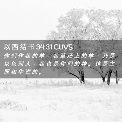 Picture 02 - 以 西 结 书 34:31 CUVS - 你 们 作 我 的 羊 ， 我 草 场 上 的 - Bible Verse Picture