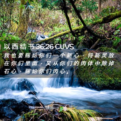 Picture 02 - 以 西 结 书 36:26 CUVS - 我 也 要 赐 给 你 们 一 个 新 心 ， - Bible Verse Picture