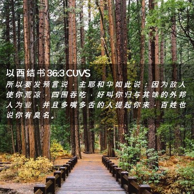 Picture 02 - 以 西 结 书 36:3 CUVS - 所 以 要 发 预 言 说 ， 主 耶 和 华 - Bible Verse Picture