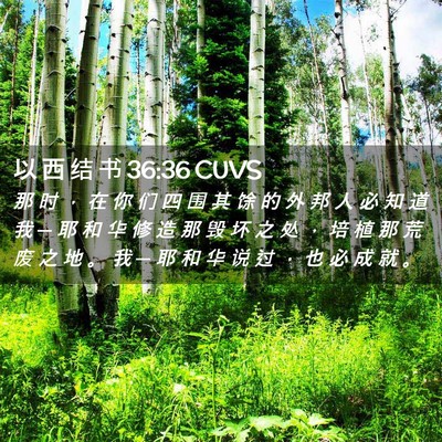 Picture 02 - 以 西 结 书 36:36 CUVS - 那 时 ， 在 你 们 四 围 其 馀 的 外 - Bible Verse Picture