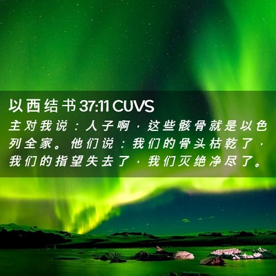 Picture 02 - 以 西 结 书 37:11 CUVS - 主 对 我 说 ： 人 子 啊 ， 这 些 骸 - Bible Verse Picture