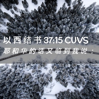 Picture 02 - 以 西 结 书 37:15 CUVS - 耶 和 华 的 话 又 临 到 我 说 - Bible Verse Picture
