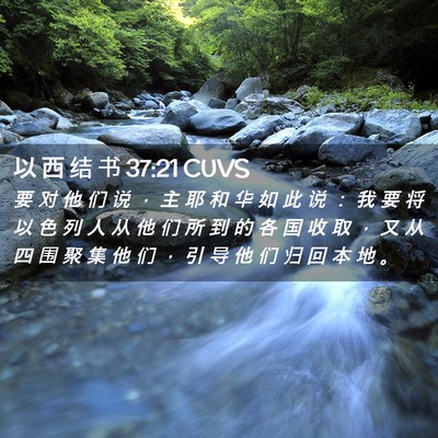 Picture 02 - 以 西 结 书 37:21 CUVS - 要 对 他 们 说 ， 主 耶 和 华 如 此 - Bible Verse Picture
