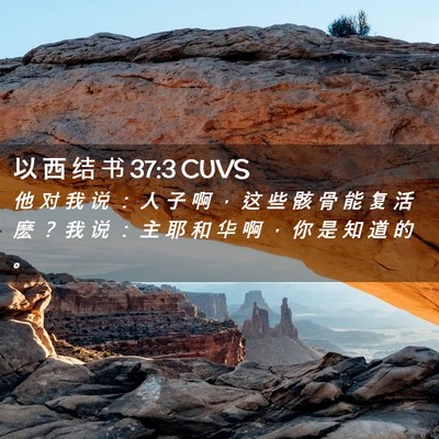 Picture 02 - 以 西 结 书 37:3 CUVS - 他 对 我 说 ： 人 子 啊 ， 这 些 骸 - Bible Verse Picture
