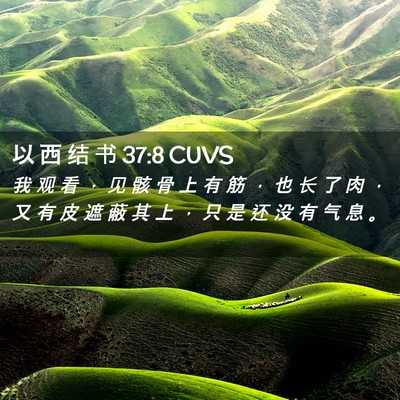 Picture 02 - 以 西 结 书 37:8 CUVS - 我 观 看 ， 见 骸 骨 上 有 筋 ， 也 - Bible Verse Picture