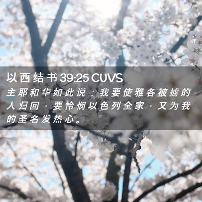 Picture 02 - 以 西 结 书 39:25 CUVS - 主 耶 和 华 如 此 说 ： 我 要 使 雅 - Bible Verse Picture