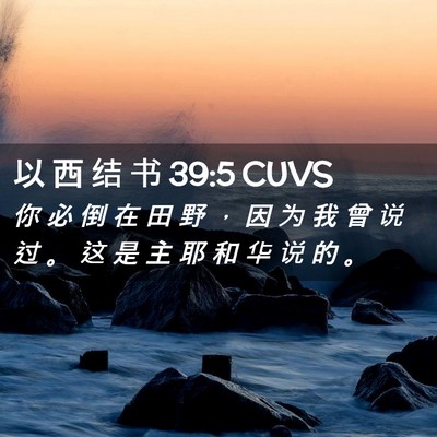 Picture 02 - 以 西 结 书 39:5 CUVS - 你 必 倒 在 田 野 ， 因 为 我 曾 说 - Bible Verse Picture