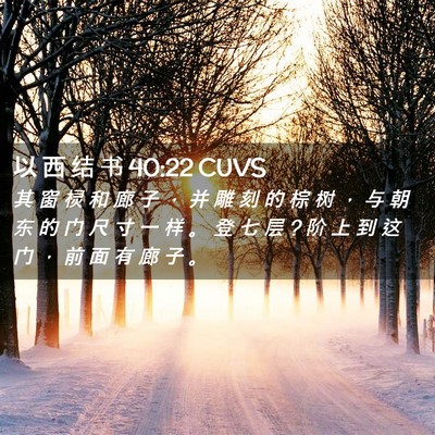 Picture 02 - 以 西 结 书 40:22 CUVS - 其 窗 棂 和 廊 子 ， 并 雕 刻 的 棕 - Bible Verse Picture