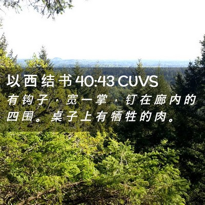 Picture 02 - 以 西 结 书 40:43 CUVS - 有 钩 子 ， 宽 一 掌 ， 钉 在 廊 内 - Bible Verse Picture